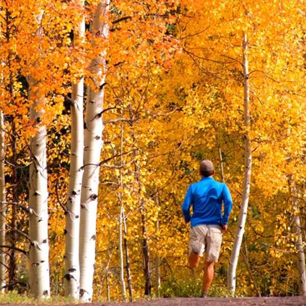 A man running amid trees.